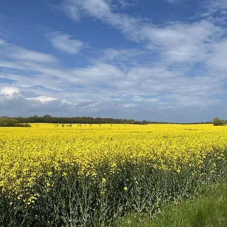 Ostseeliebe * Barendorf (Mecklenburg-Vorpommern)